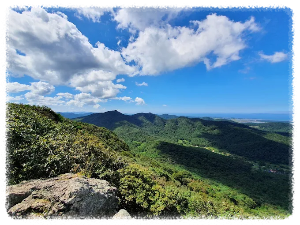 선운산도립공원