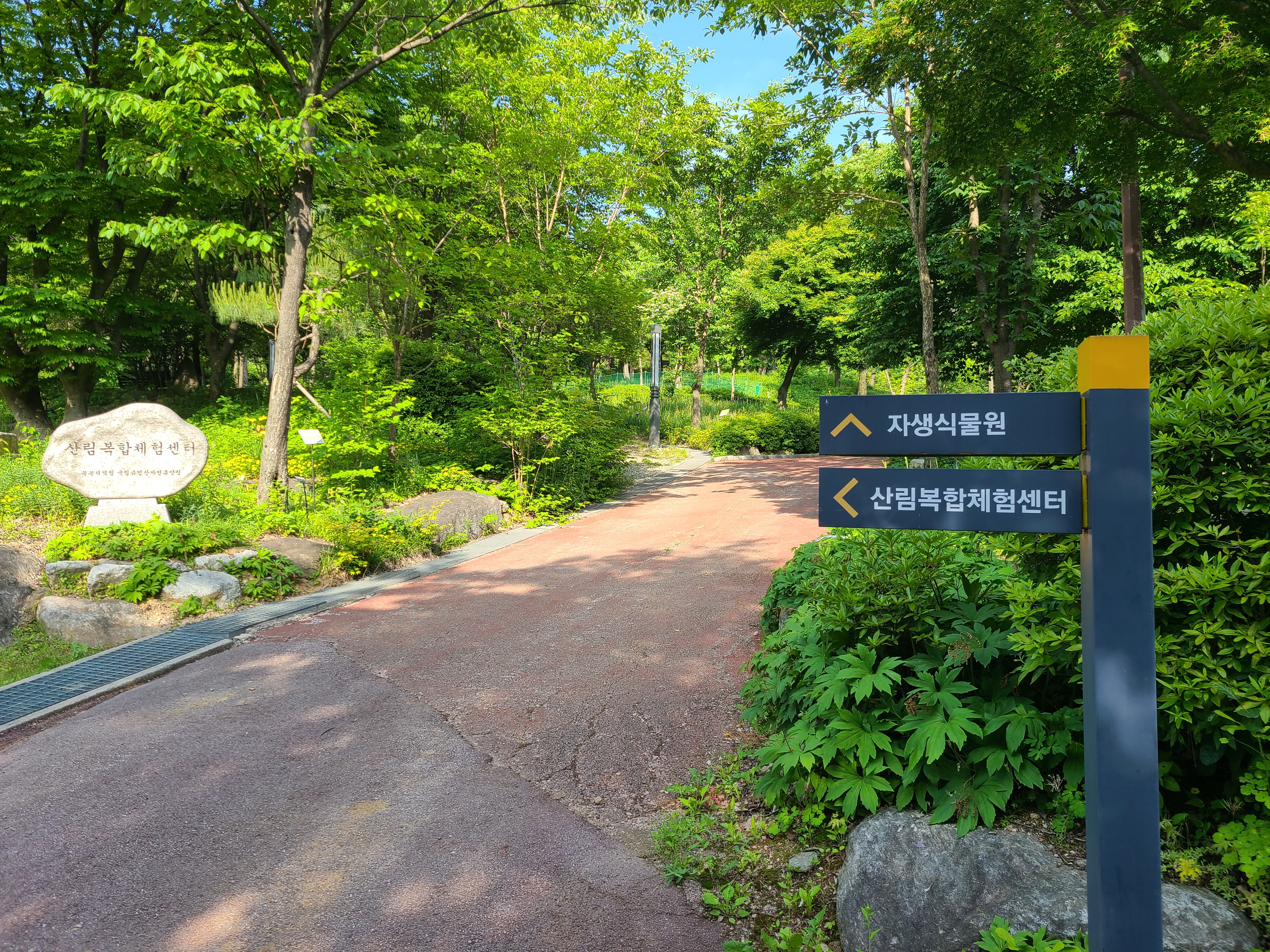 유명산자연휴양림 안내표지판