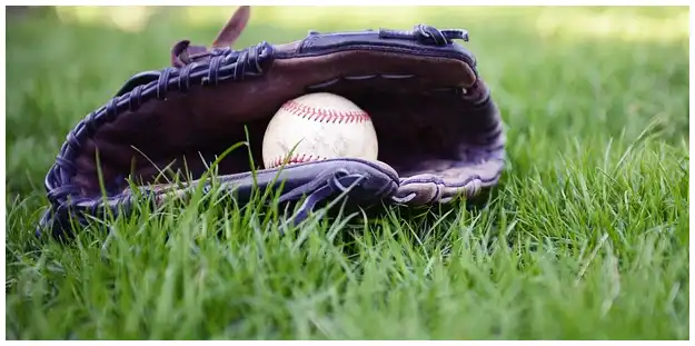 2024 WBSC 야구 프리미어 12 군면제 가능할까?