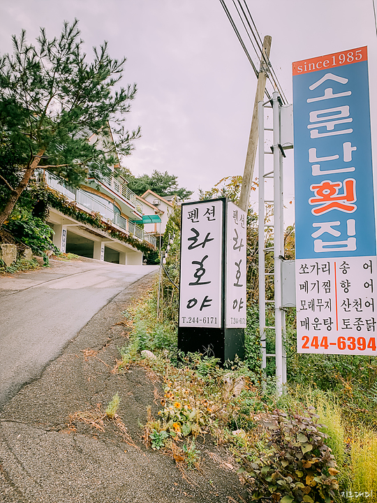 춘천 라호야펜션