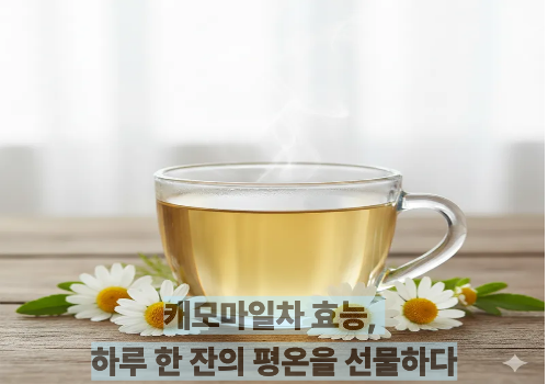 캐모마일차 효능, 하루 한 잔의 평온을 선물하다