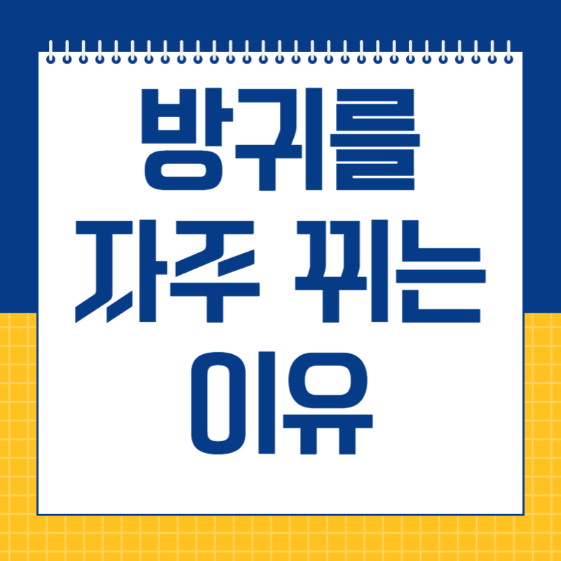 방귀를 자주 뀌는 이유