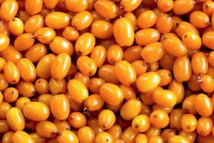 비타민 나무 효능09