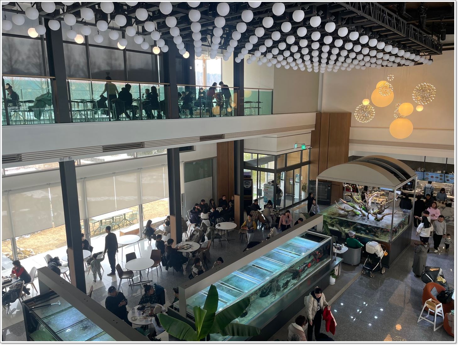 2층에서바라본1층-많은손님들-조명-수족관