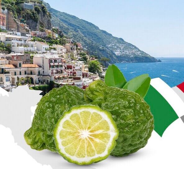 베르가못 효능7