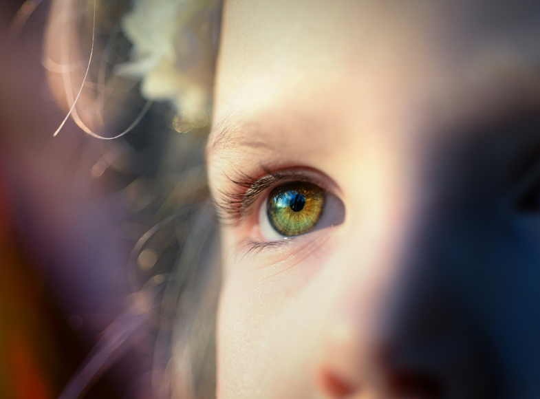 글의 이해를 돕는 사진