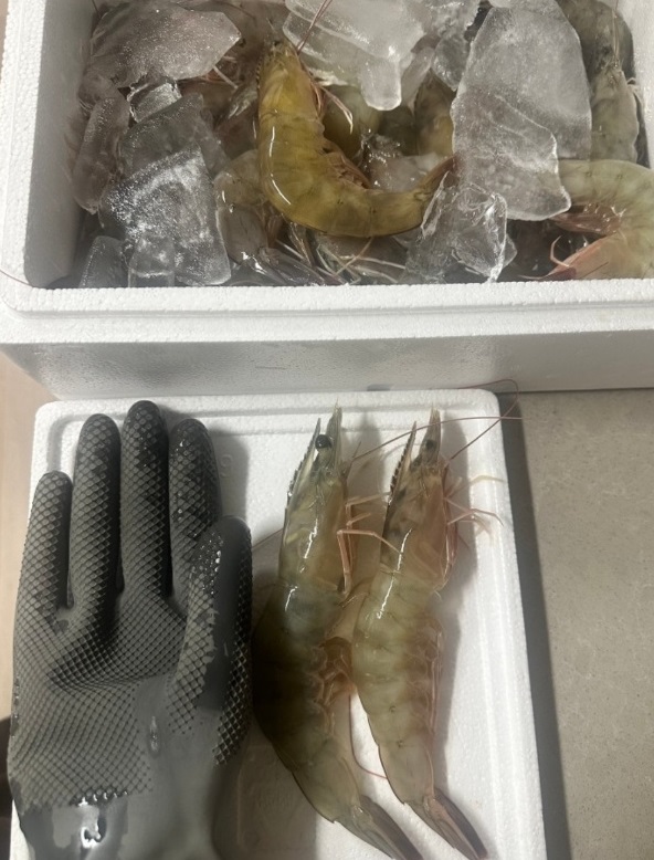 홍성-죽도-현일민박-대하