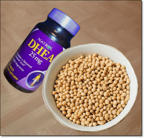 대두와 DHEA 보충제