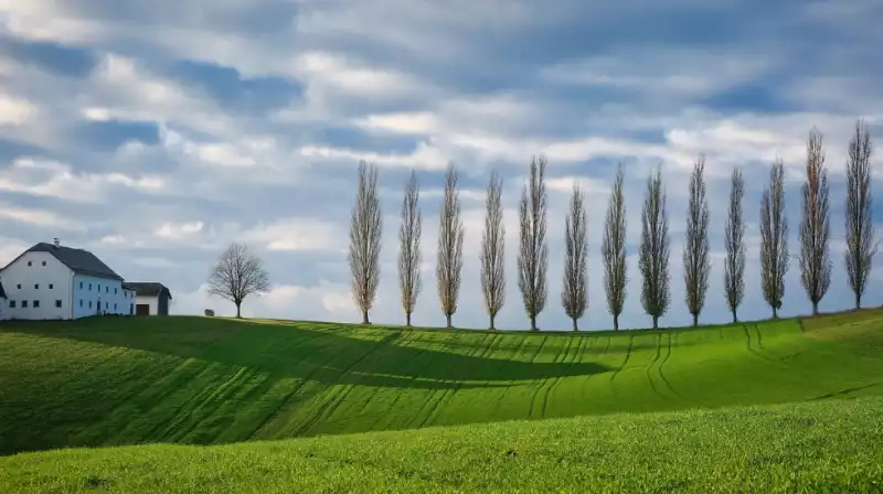 항공권 예약 할 때 체크해야 할 항목들