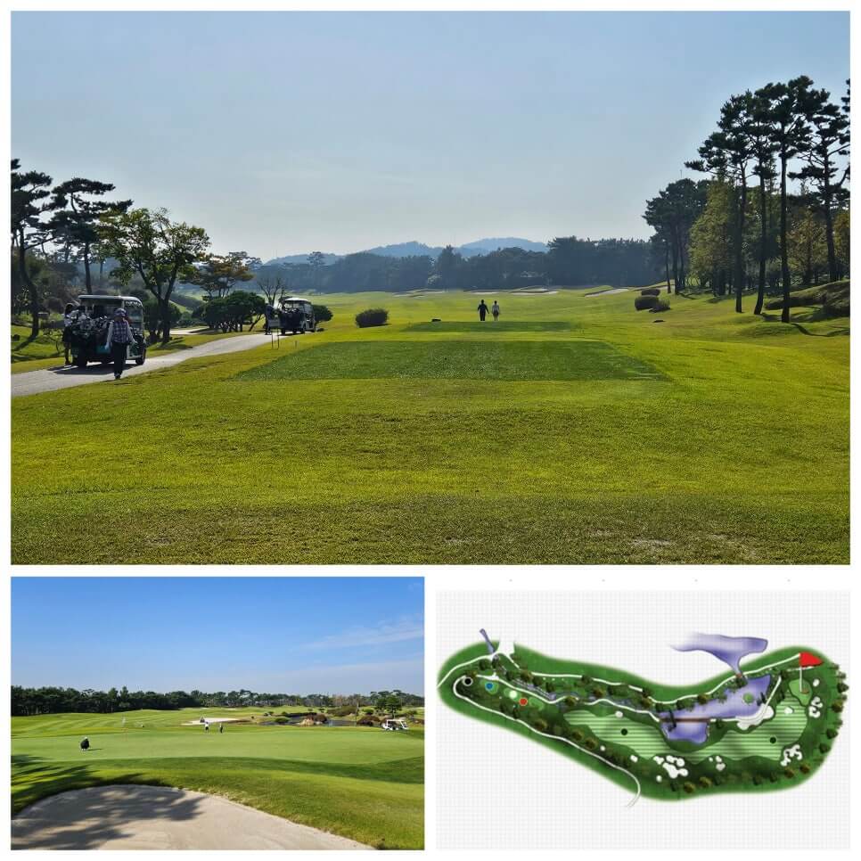 골프장 경험담 당진 파인스톤cc 대형 멋진 정원에서 환상의 골프 운동