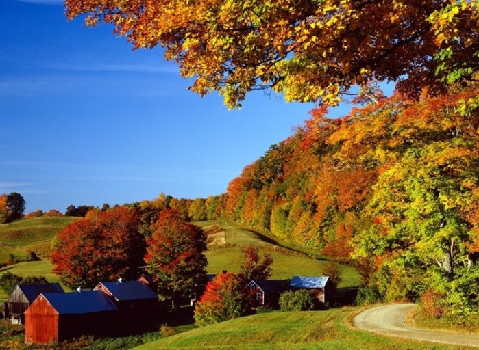 버몬트 주 단풍