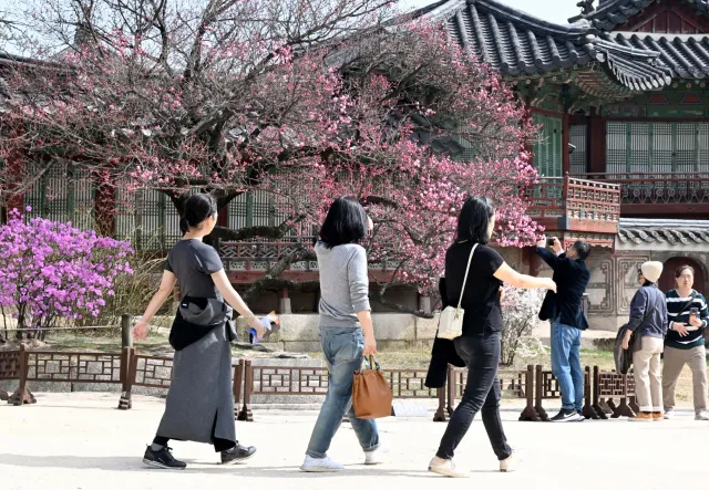 2025년 3월 날씨예보 대전망: 서울/경기/전라도/경상도 상세 날씨예보 및 건강/생활 대비 완벽 가이드
