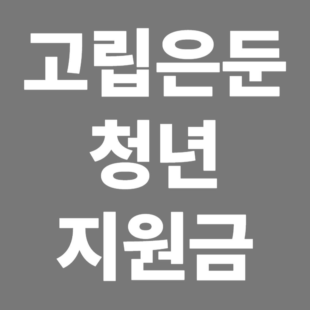 고립은둔청년 지원금