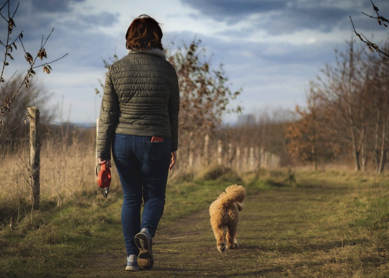 식욕을 줄이는 방법: 뇌과학에 바탕을 두고