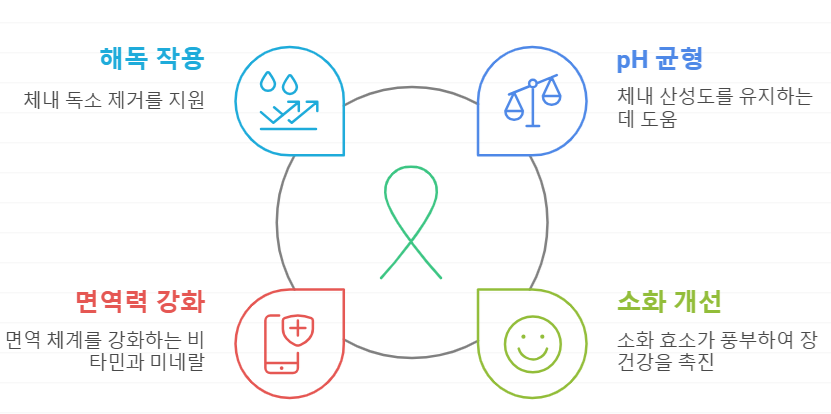 알칼리성 과일 이점