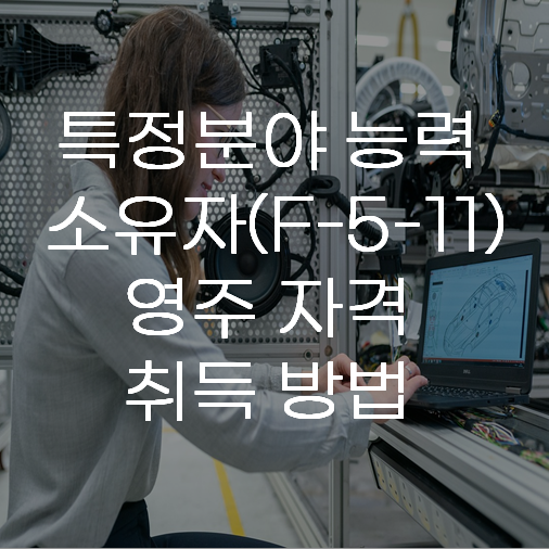 F5비자