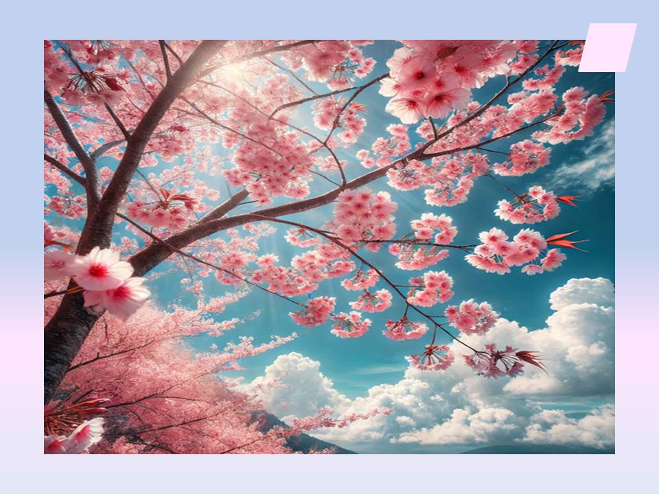 인천 벚꽃 명소 추천