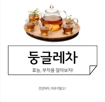 둥글레차 효과 건강에 좋은 차 효능 정리_17