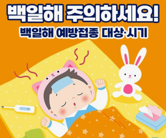 백일해 예방접종 대상