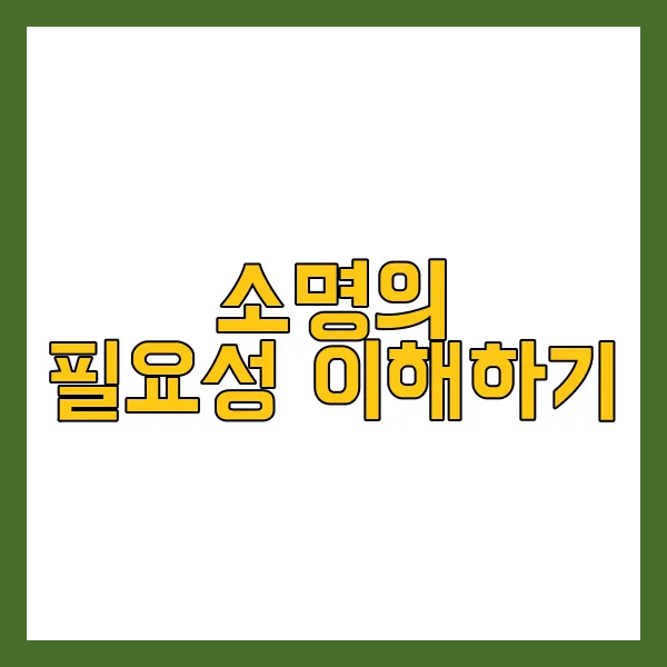 통장거래내역