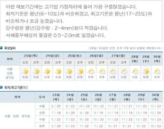 세차 지수 황사 뒤 물자국 방지 세정제 선택 요령_8