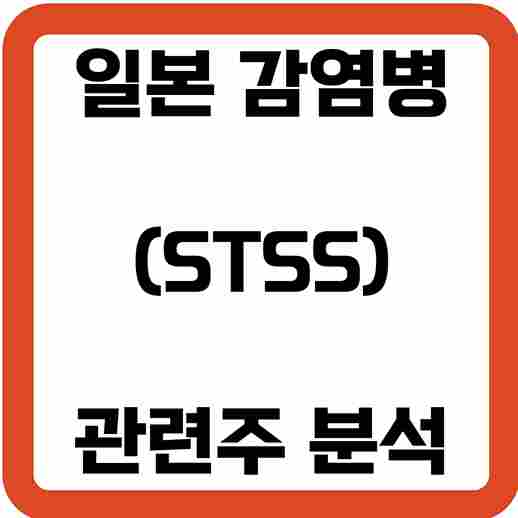 일본-화농성-연쇄상구균-STSS-관련주-분석-추천
