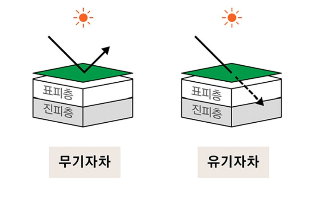 테초록35 무기자차 썬쿠션 성분 & 기능