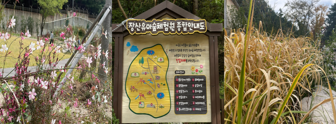 장산의 풍경