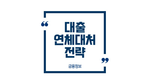 대출연체대처전략-이미지1