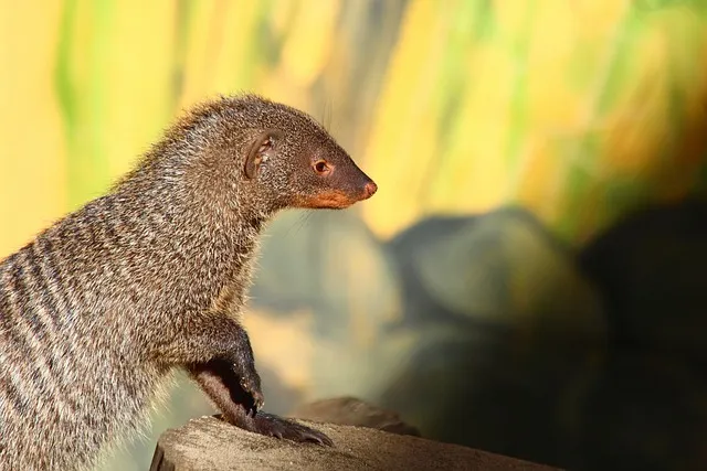 영풍문고 인터넷서점 바로가기 도서 할인 구매_3