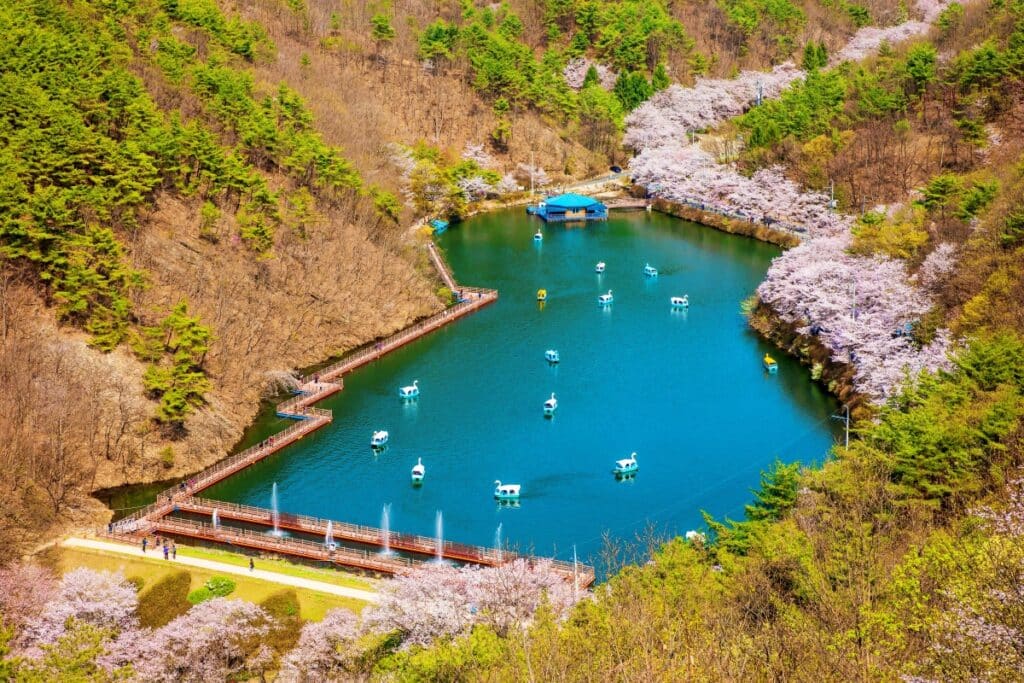 진안-마이산-벚꽃