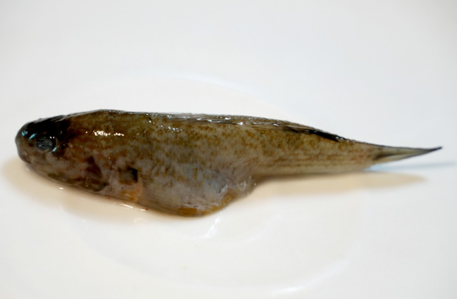 꾹저구탕 뜻 유래 맛집 강릉 주문진해변 연곡꾹저구탕 위치 가격 총정리1