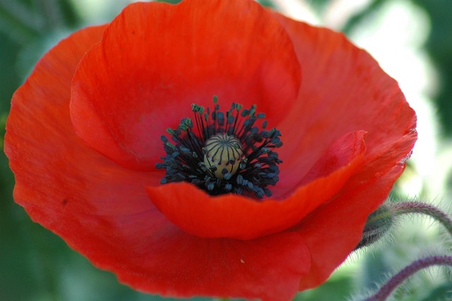 코피 멈추는 법 BEST5 – 빠르고 효과적인 대처법