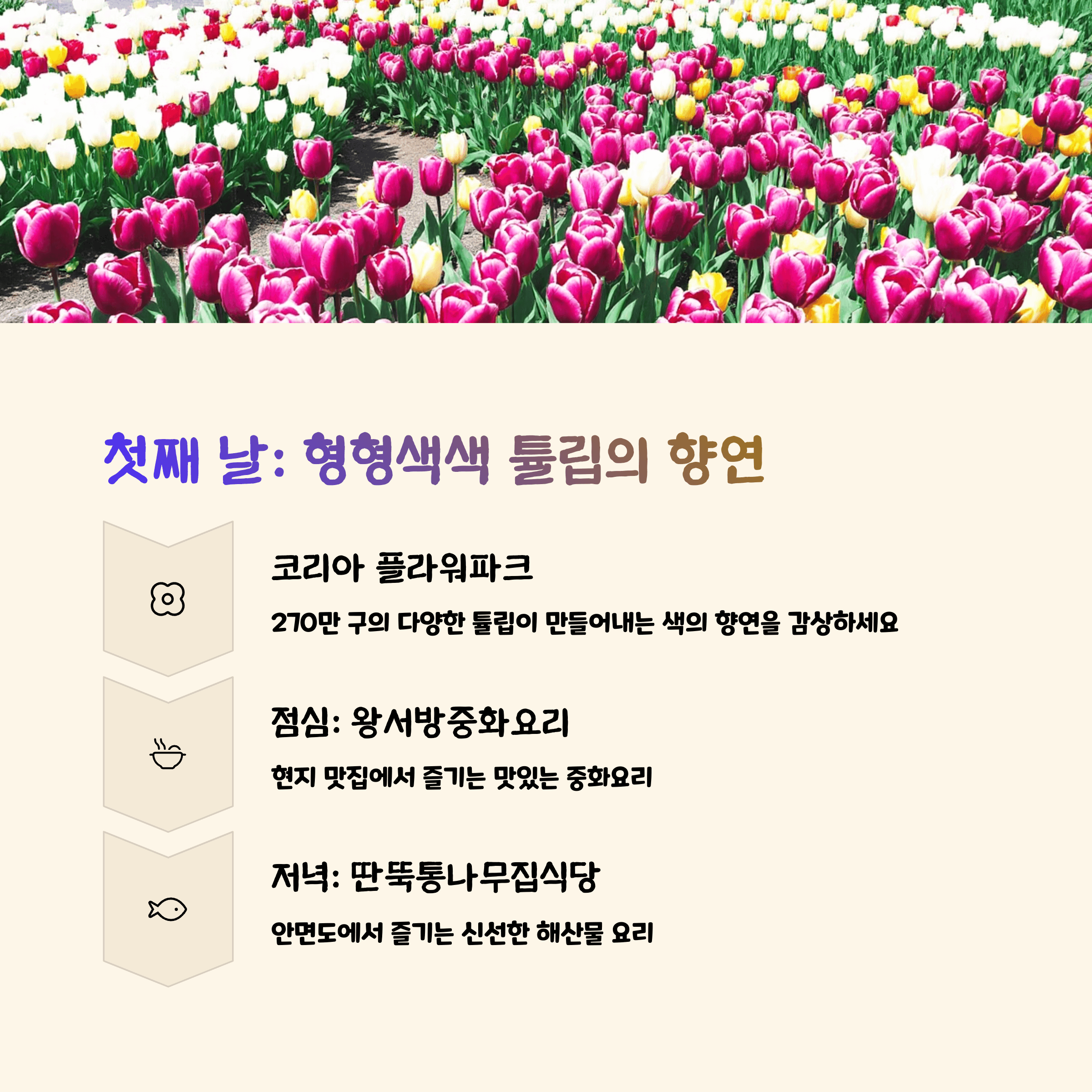 안면도 튤립 축제