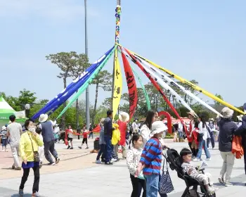 함평 나비축제_17