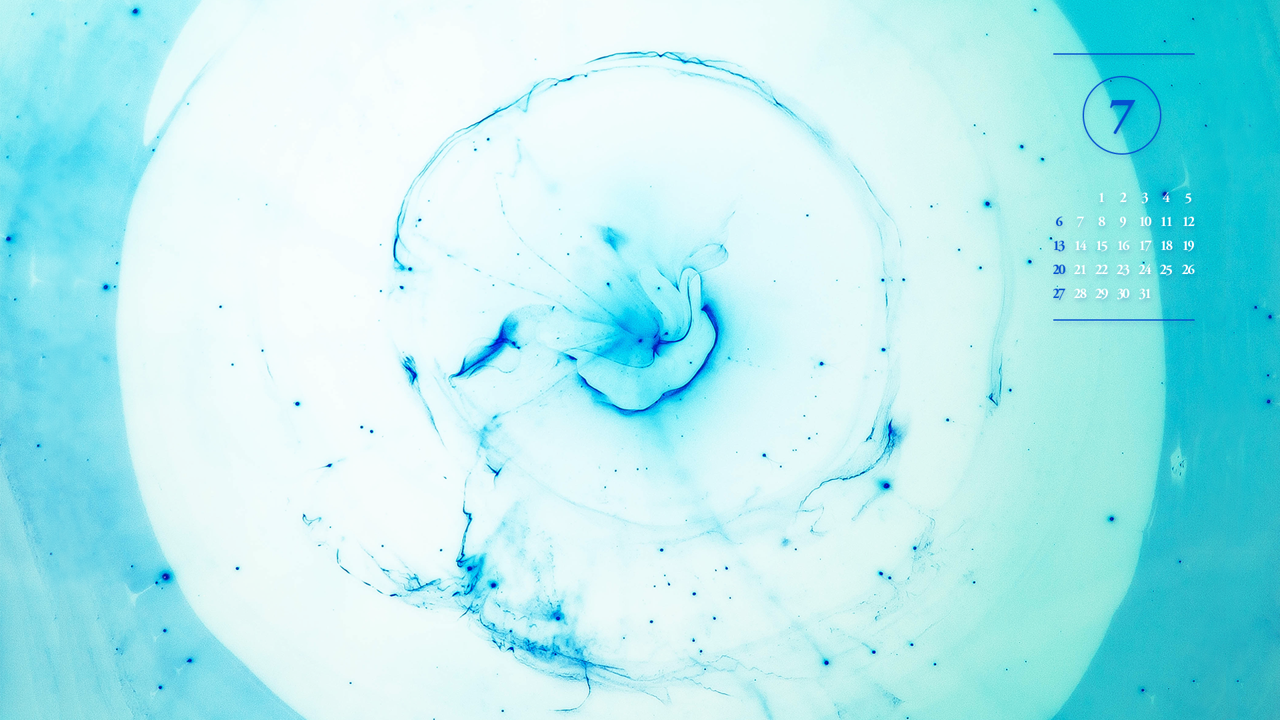 03 투명 해파리 A - 2025년7월 노트북배경화면