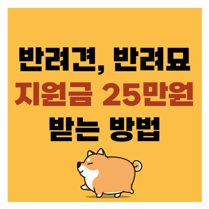 반려견, 반려묘 입양 시 보조금 지원 안내