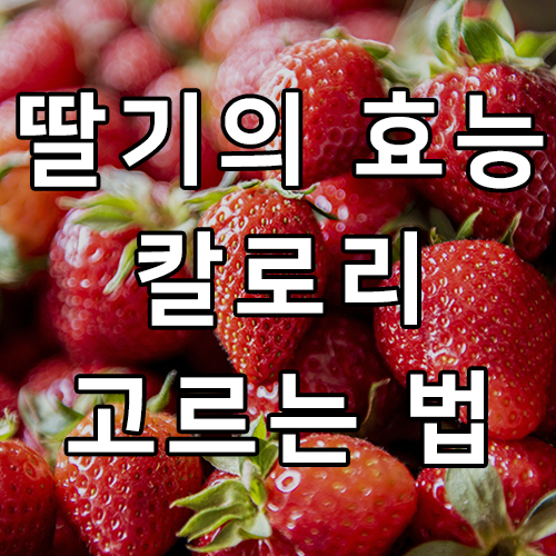 딸기의 효능 칼로리 고르는 법 썸네일