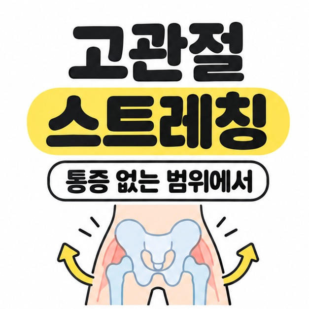 고관절 스트레칭 제목과 통증 없는 범위에서 문구 아래 골반과 고관절을 단순화한 그림과 곡선 화살표를 표시한 이미지