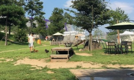 반려견과 함께하는 전국휴게소