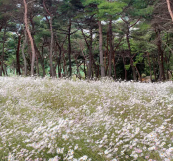 심신안정1