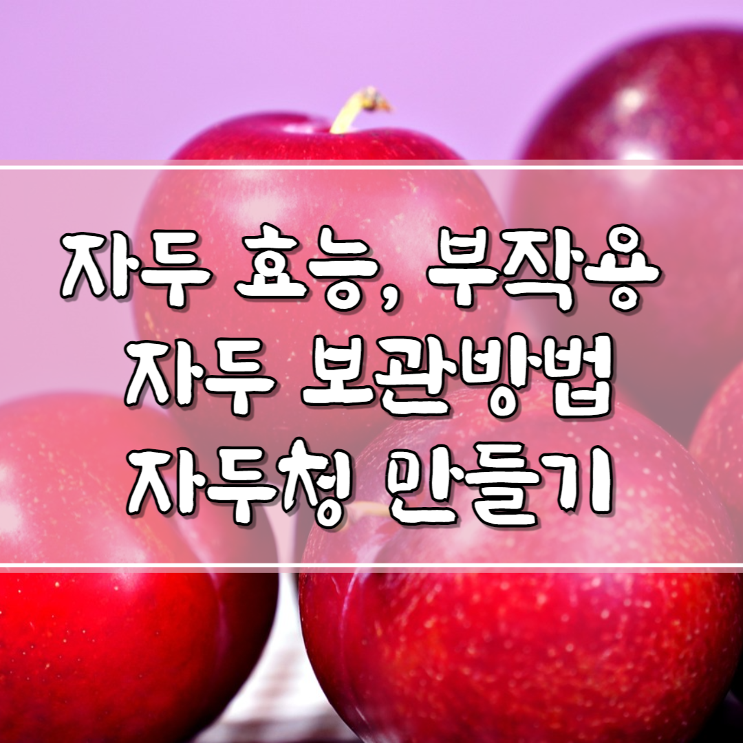 자두의 효능, 부작용, 자두 보관법, 자두청 만드는 법