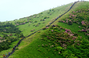 소백산국립공원