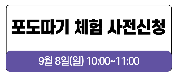 2024년 화성 송산 포도축제 일정