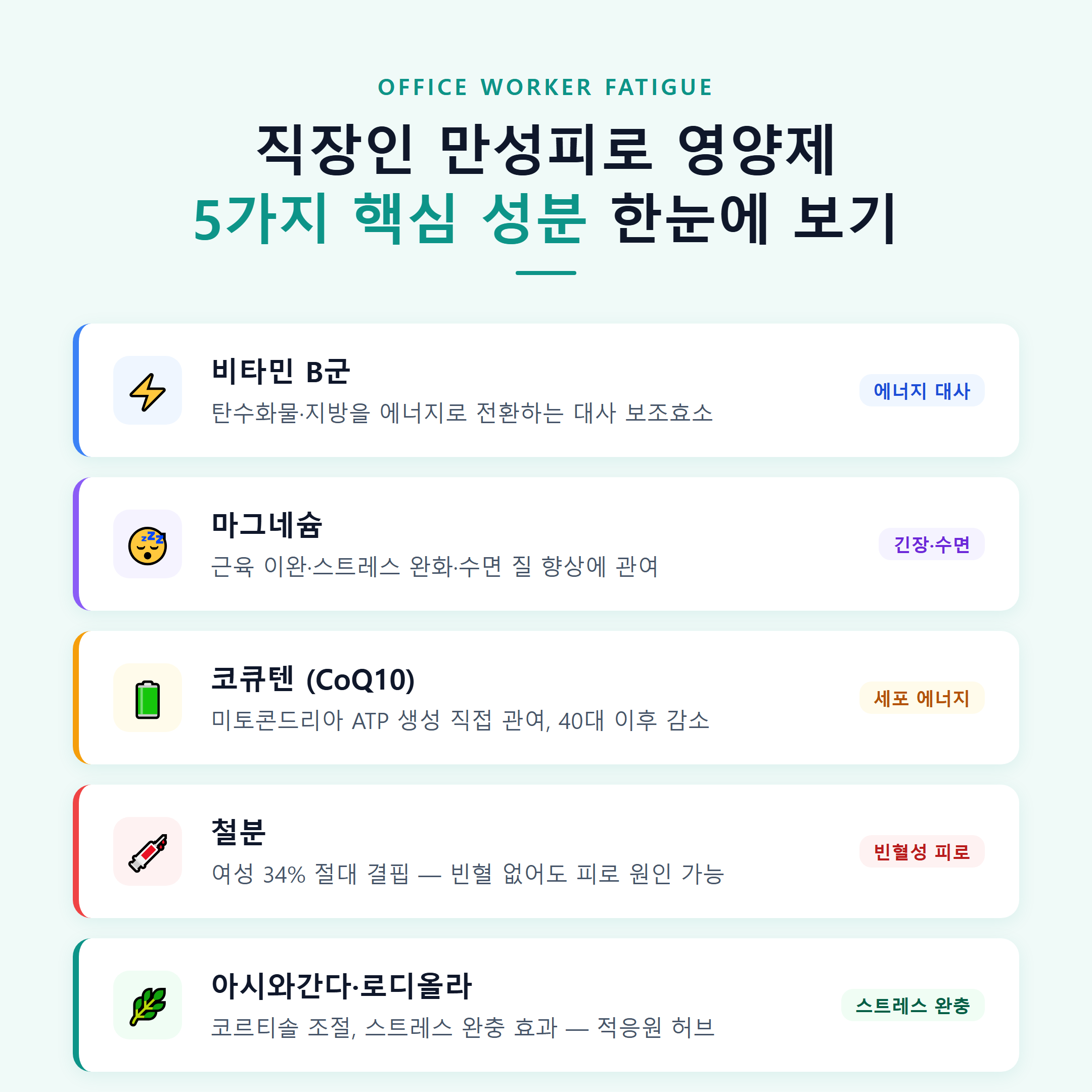 직장인 만성피로 영양제 5가지 핵심 성분 한눈에 보기 &mdash; 비타민B&middot;마그네슘&middot;코큐텐&middot;철분&middot;아시와간다