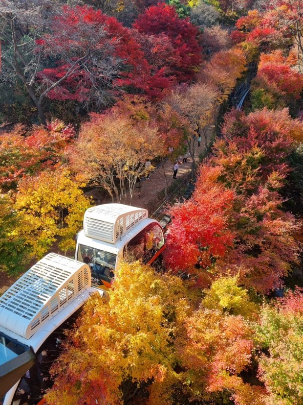 화담숲 단풍축제