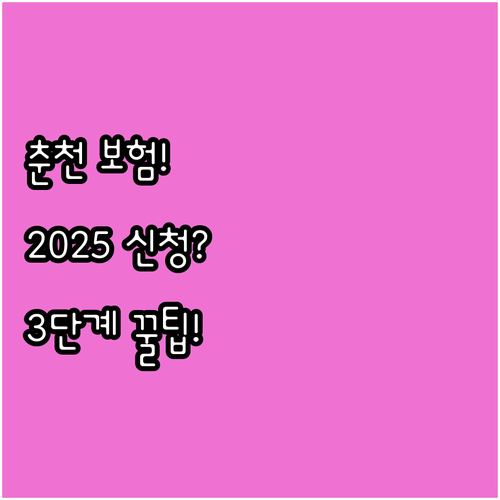 춘천시 안전보험 2025 신청 기간 ..