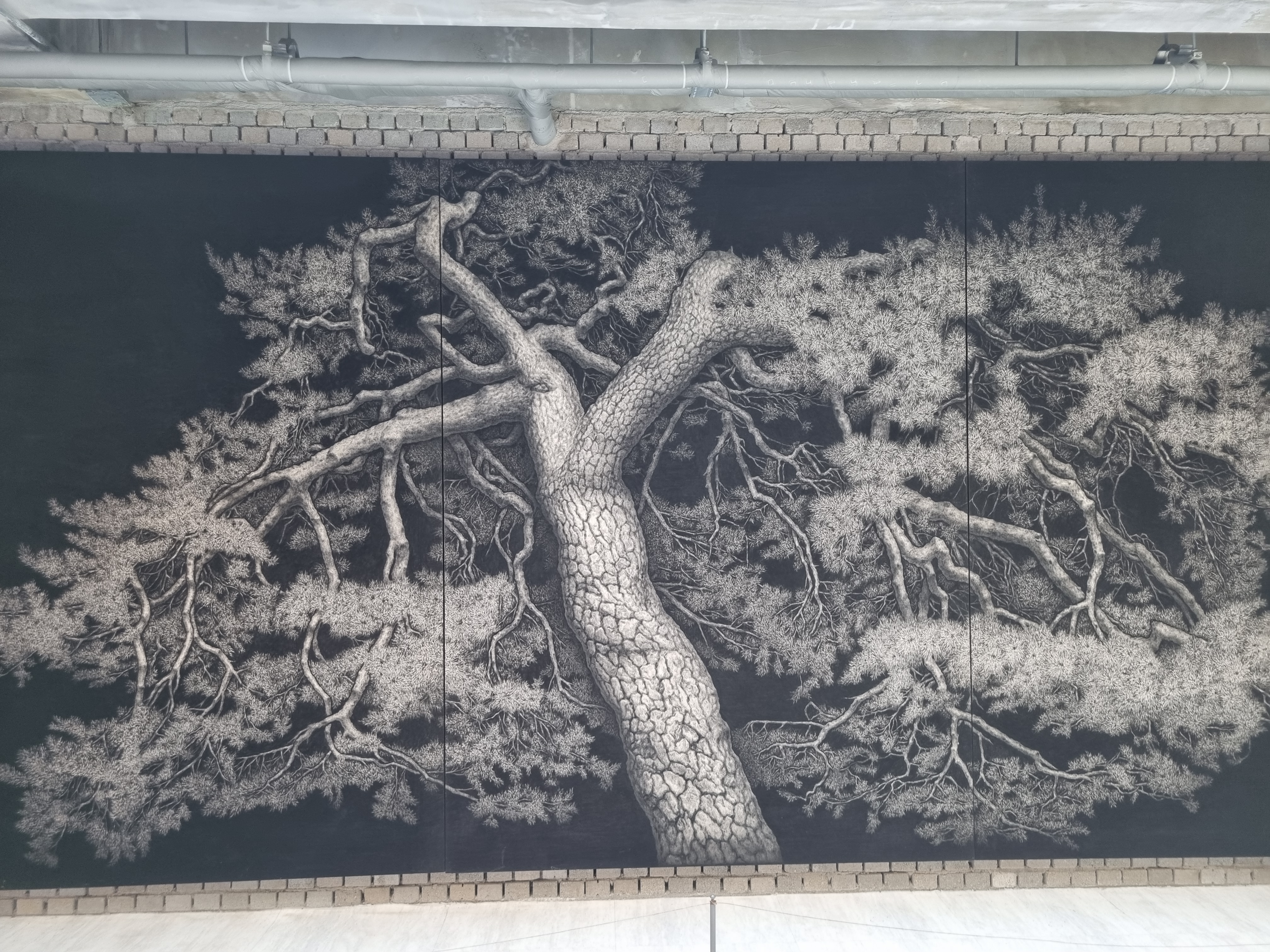 젊은달 와이파크