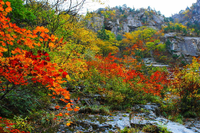 출처 구글이미지 설악산 단풍