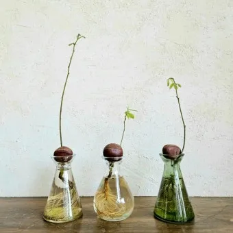 밤나무 재배 수분 수정 꽃가루 관리 해충 방제_11